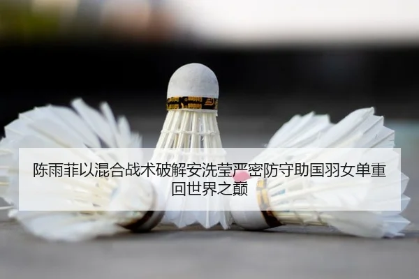 陈雨菲以混合战术破解安洗莹严密防守助国羽女单重回世界之巅